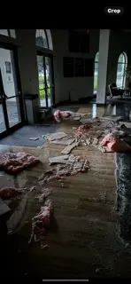 testimonials Thumbnail